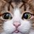 Dana Rowe's profile image