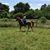 Mandy Fleming's profile image