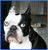 Austin C.'s profile image