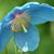 Sally Leonard's profile image