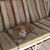 Cindy Meyers Richardson's profile image