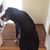 Debra Sarver's profile image