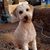 Doyle L. Wynn Junior's profile image