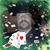 Jaime Reynoso's profile image