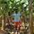 Roberto Carlos Diaz Portales's profile image
