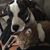 Devin Porter's profile image