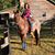 Kari Danielle's profile image