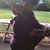 Jacqueline Holder's profile image