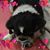 Linda Le Guier's profile image