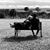 Laurie Perkins Reed's profile image