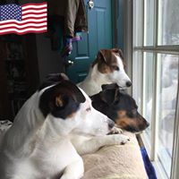 Lynn Reid's profile image