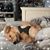 Mary Ann Bann's profile image