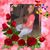 Trina Dial's profile image