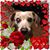 Julie Harless's profile image