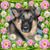 San Remo Duncan's profile image