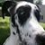 Erin Rennoldson's profile image