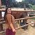 Fabiola Muñoz Molina's profile image