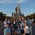 Carol Breese Stamm's profile image