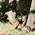 Kristi Rountree Novak's profile image