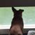 Margaret Arnold Higgins's profile image