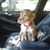 Daren Mccullough's profile image
