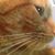 Susan Ebacher's profile image