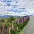 Tracy Neumann Eavenson's profile image