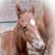 Starr Baxter's profile image