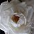 Melanie Bouyer's profile image