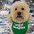 Tammi Lee Hagedorn's profile image