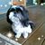 Colette Walinski's profile image