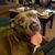 Jodi Lindberg Patchen's profile image