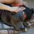 Christine McCord's profile image