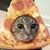 Patrick Boyce's profile image