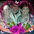 Grace Brand's profile image