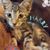 Lynn Zdon Provencher's profile image