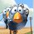 Joshua Weichel's profile image