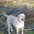 Suzzett Hall's profile image