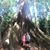 Donna Campbell Hollenbach's profile image