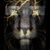 Cheryl Bodario's profile image