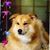 Michael Salerno's profile image