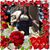 Irma Alba's profile image
