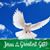 Arlene Barbosa's profile image