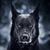 Brett Conner's profile image