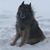 John O Everett's profile image