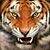Tonya Watson's profile image