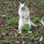 Judy Pierce's profile image