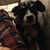 Tom Snyder's profile image