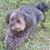 Elizabeth Curran's profile image