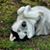 Brenda Roberts's profile image